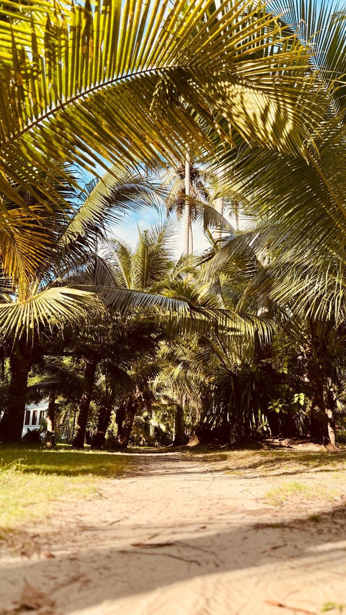 Suan Maprao Ko Kut Resort מראה חיצוני תמונה